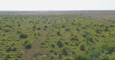 Video from a copter, nature of Crimea, fields, meadows, plants, summer Stock Footage 311525644