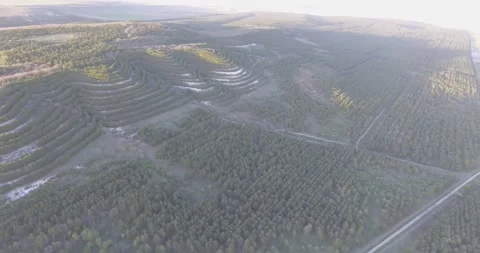 Video from a copter, nature of Crimea, fields, meadows, plants, summer Stock Footage 311525738