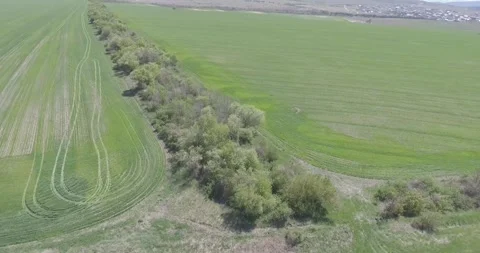 Video from a copter, nature of Crimea, fields, meadows, plants, summer Stock Footage 311525875