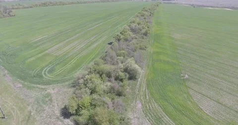 Video from a copter, nature of Crimea, fields, meadows, plants, summer Stock Footage 311525904