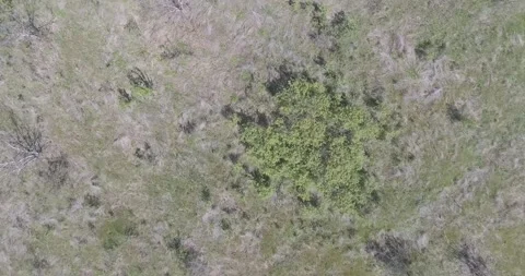 Video from a copter, nature of Crimea, fields, meadows, plants, summer Stock Footage 311525946