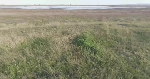 Video from a copter, nature of Crimea, fields, meadows, plants, summer Stock Footage 311525963