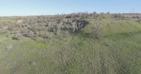 Video from a copter, nature of Crimea, fields, meadows, plants, summer Stock Footage 311526044
