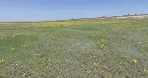 Video from a copter, nature of Crimea, fields, meadows, plants, summer Stock Footage 311526093