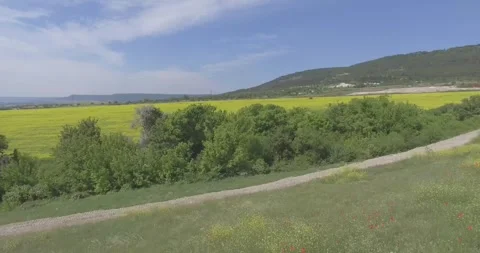 Video from a copter, nature of Crimea, fields, meadows, plants, summer Stock Footage 311526173