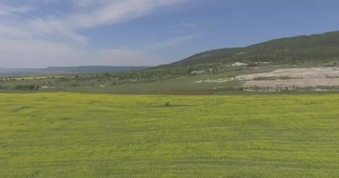 Video from a copter, nature of Crimea, fields, meadows, plants, summer Stock Footage 311526197