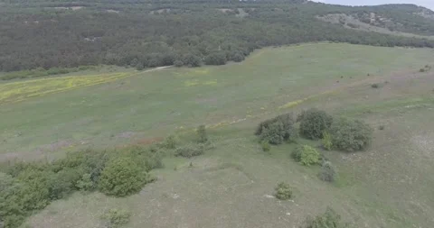 Video from a copter, nature of Crimea, fields, meadows, plants, summer Stock Footage 311526267