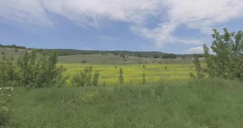 Video from a copter, nature of Crimea, fields, meadows, plants, summer Stock Footage 311526325