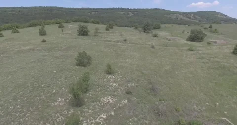 Video from a copter, nature of Crimea, fields, meadows, plants, summer Stock Footage 311526378