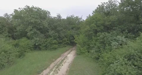 Video from a copter, nature of Crimea, fields, meadows, plants, summer Stock Footage 311526446