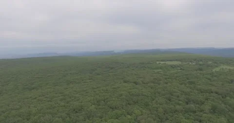Video from a copter, nature of Crimea, fields, meadows, plants, summer Stock Footage 311526606