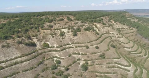 Video from a copter, nature , fields, paths, mountains, trees Stock Footage 312324471
