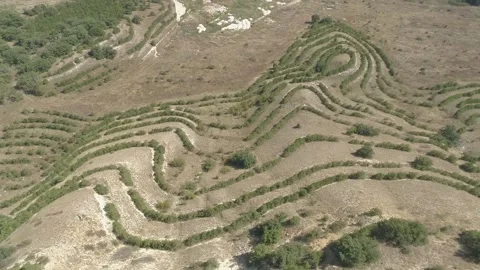 Video from a copter, nature , fields, paths, mountains, trees Stock Footage 312324473