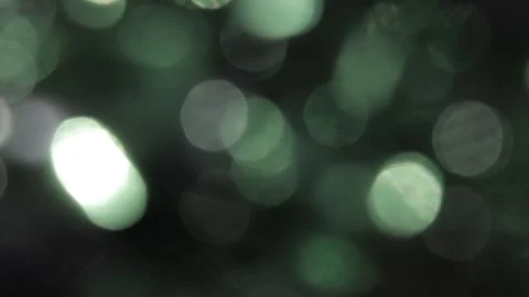 Video coverage of shimmering green and white bokeh deiras HD Stockbeeldmateriaal 317533471