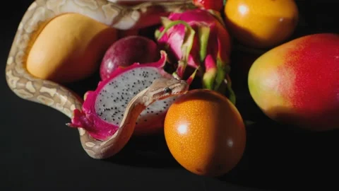 Video of crawling python and exotic fruits Stock-Footage 125662923