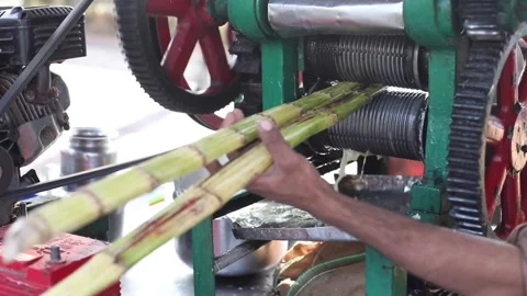 Video cropped hands using technic machine for sugarcane processing, juice Vídeos de archivo 234888104