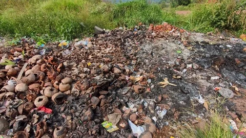 Video of Discarded coconut shells and debris litter a muddy roadside patch. Stock Footage 341378274