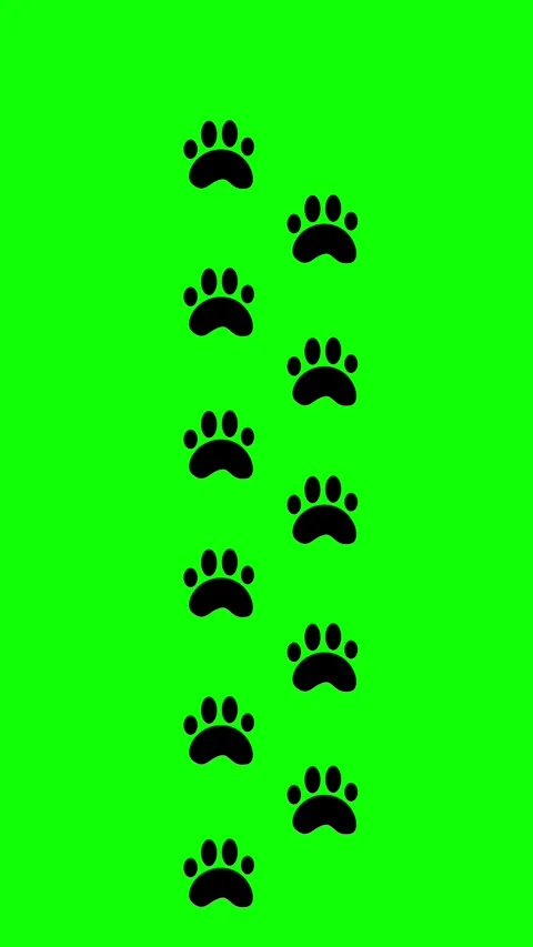 This video displays a dynamic pattern of animal paw prints on a vibrant gre.. Stock Footage 340538009
