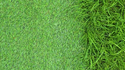 The video displays various grass textures highlighting different growth patterns Stockbeeldmateriaal 344670824