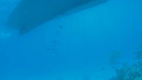 Video of diving under a boat in the Red Sea Stock Footage 158125204