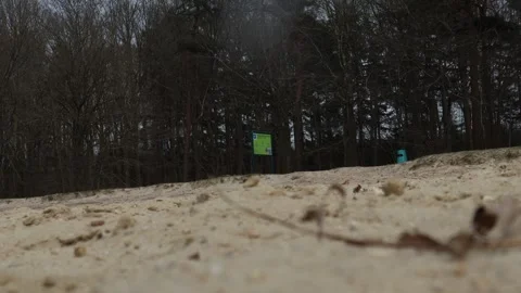 Video of dog running by camera on a beach. Stock Footage 333361381
