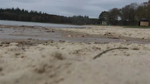 Video of a dog running past a camera on a beach. Video stock 333344479