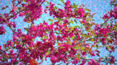 Video, drawn paint dabs - blossoming apple tree Stock Footage 87033234