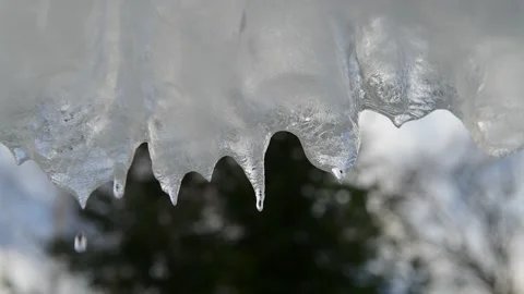 Video of dripping icicles on a warm bright sunny day. Melting icicle on a blue Stock Footage 147150530