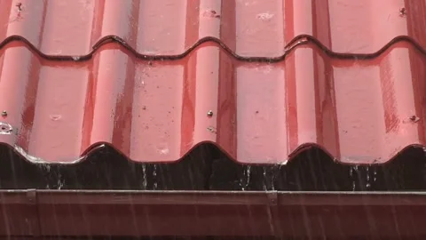 Video of Drizzling Rain Water Dripping, Hitting the red Concrete Tiles Roof 스톡 동영상 336571315