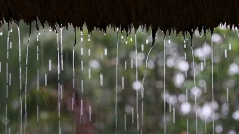 Video of Drizzling Rain Water Dripping, Hitting the Wooden roof in the Village Stock Footage 336571380