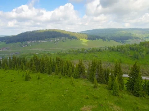Video drone aerial view over road, forest and field Vidéo 77489796