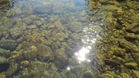 Video from a drone flying backward over a clear, shallow, rocky river Stock Footage 157455548