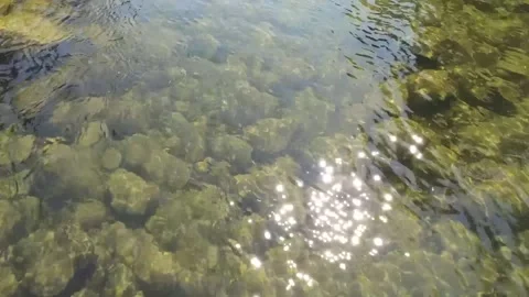 Video from a drone flying forward over a clear, shallow, rocky river Stock Footage 157455562
