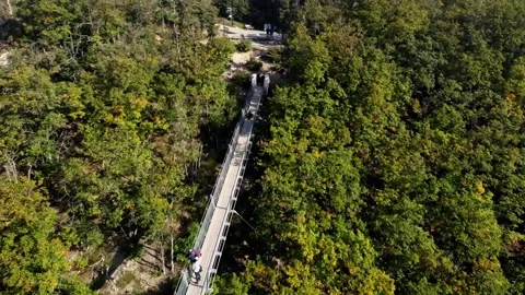 Video from a drone flying over a suspended wooden bridge with steel ropes. Stock Footage 163670854