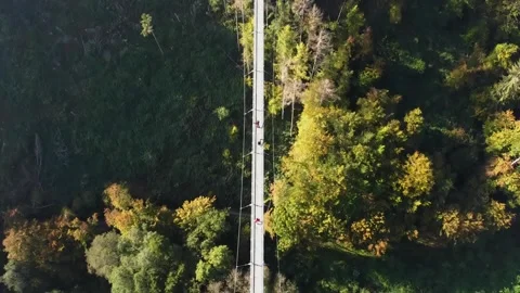 Video from a drone flying over a suspended wooden bridge with steel rope. Stock Footage 163671024