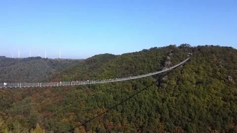 Video from a drone flying over a suspended wooden bridge. Stock Footage 163713536