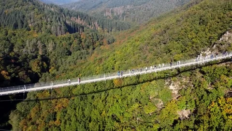 Video from a drone flying over a suspended wooden bridge. Stock Footage 163714734