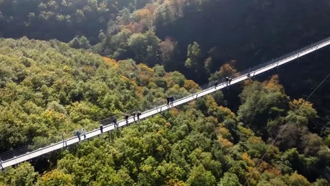 Video from a drone flying over a suspended wooden bridge. Stock Footage 163714867