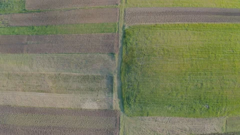 Video from a drone of a green fields and soil. Aerial shot of agricultural Stock Footage 264769210