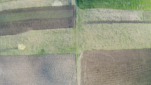 Video from a drone of a green fields and soil. Aerial shot of agricultural Stock Footage 264769420