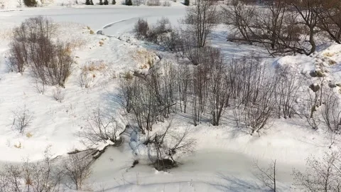 Video of a drone moving slowly forward passing by small stream and wild grass Stock-Footage 164420413