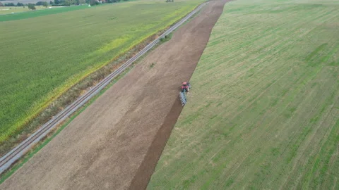 Video from a drone as a red tractor plows a plantation planted with green manure Stock Footage 167671624