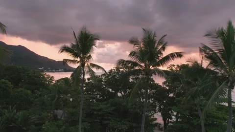 Video from a drone in the Seychelles Stock Footage 155013042