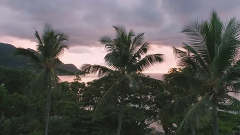 Video from a drone in the Seychelles Stock Footage 155013045