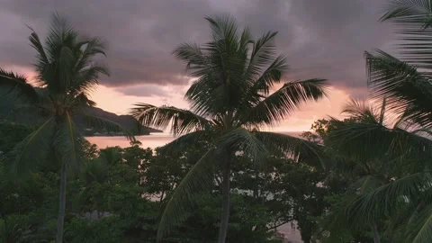 Video from a drone in the Seychelles Stock Footage 155013073