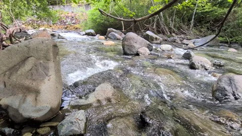 Video of a dynamic mountain stream flowing over smooth grey rocks Stockbeeldmateriaal 346736049