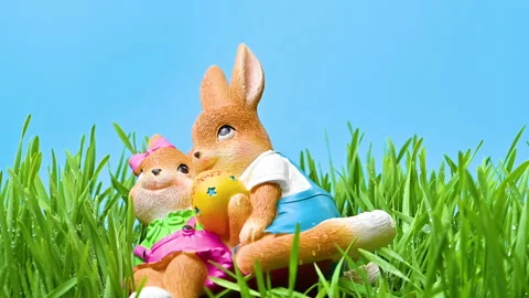 Video of an Easter bunny in green grass Stock Footage 331503728