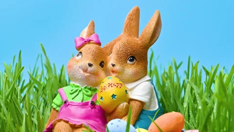 Video of an Easter bunny in green grass Stock Footage 331503887