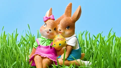 Video of an Easter bunny in green grass Stock Footage 331503946
