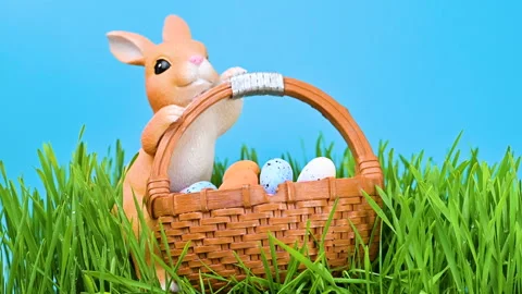 Video of an Easter bunny in green grass Stock Footage 331504171